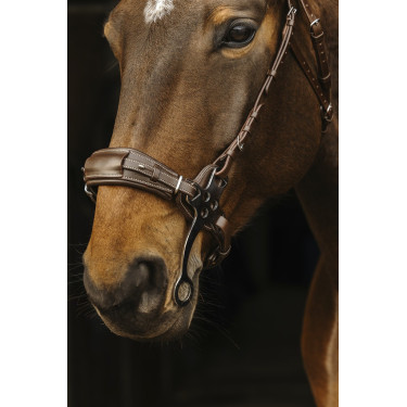 Bridon Norton Pro Hackamore Bridon Norton Pro Hackamore