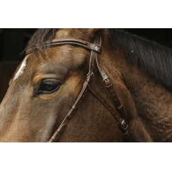 Bridon Norton Pro Hackamore Bridon Norton Pro Hackamore