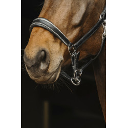 Leren halster Norton Rock Leren halster Norton Rock