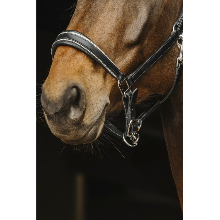 Leren halster Norton Rock Leren halster Norton Rock