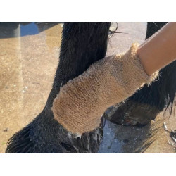 Shampooing Animaderm Tea Tree