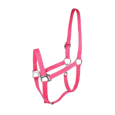 Halster Basic Horze Halster Basic Horze