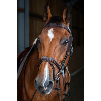 Bedragen Focus Dy'on Bruin Bedragen Focus Dy'on Bruin