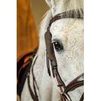 Bedragen Focus Dy'on Bruin Bedragen Focus Dy'on Bruin