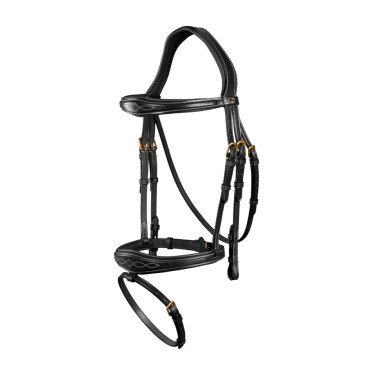 Bridon Combiné Anatomisch Dy'on D Collectie Zwart