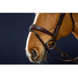 Bridon Combiné Anatomisch Dy'on D Collectie Bruin Bridon Combiné Anatomisch Dy'on D Collectie Bruin