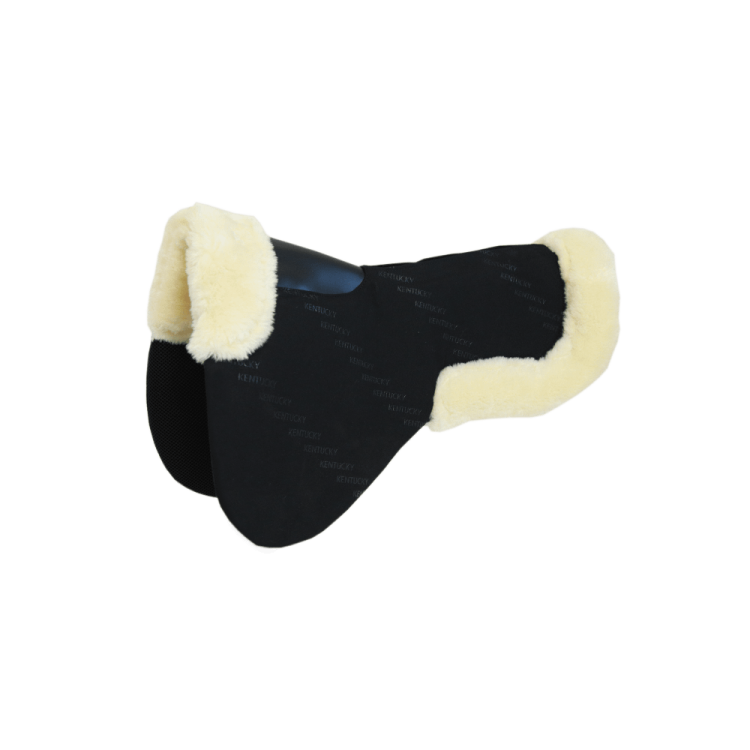 Schokdemper Schaap Impact Equalizer Kentucky Schokdemper Schaap Impact Equalizer Kentucky