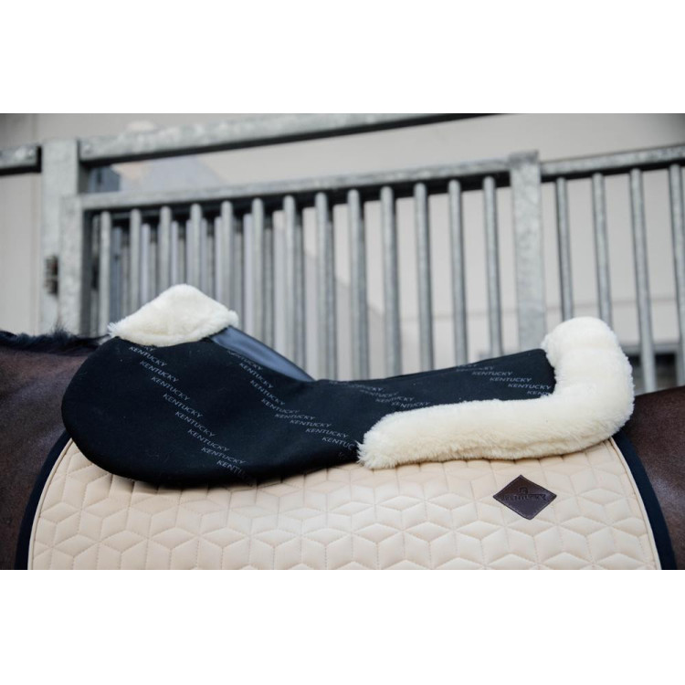 Schokdemper Schaap Impact Equalizer Kentucky Schokdemper Schaap Impact Equalizer Kentucky