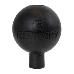 Beveiligingsbal Kentucky bevestiging Zwart