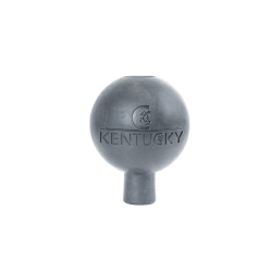 Beveiligingsbal Kentucky bevestiging Beveiligingsbal Kentucky bevestiging