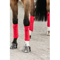 Bandes de polo Polar Fleece Velvet Kentucky Bordeaux