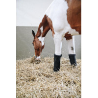 Rustbandages Afstotend Kentucky Zwart