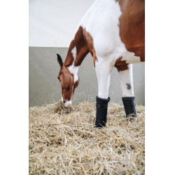 Rustbandages Afstotend Kentucky Zwart Rustbandages Afstotend Kentucky Zwart