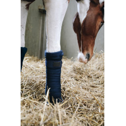 Rustbandages Afstotend Kentucky Marineblauw