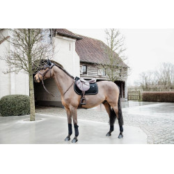 Wellington Basis Fluweel Kentucky Wellington Basis Fluweel Kentucky
