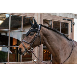 Wellington Kentucky cap Zwart