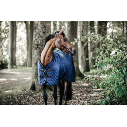 Staldeken Kentucky Staldeken Kentucky