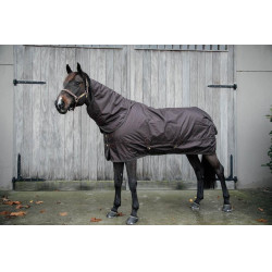 All Weather waterdichte buitenafdekking Pro Kentucky Bruin