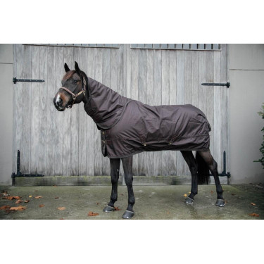 All Weather waterdichte buitenafdekking Pro Kentucky Bruin