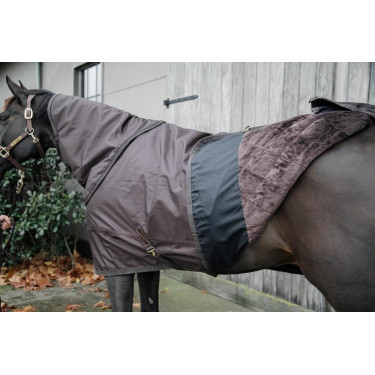 All Weather waterdichte buitenafdekking Pro Kentucky Bruin