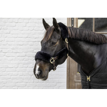 Schapenvacht hoes voor halster 4 stuks Kentucky Zwart
