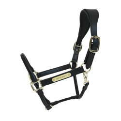 Anatomisch Lederen Halster Kentucky Zwart