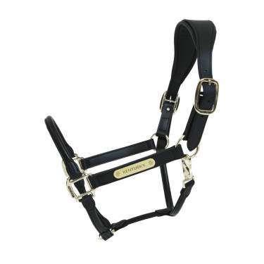 Anatomisch Lederen Halster Kentucky Zwart