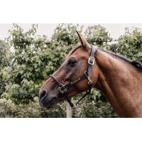 Anatomisch Lederen Halster Kentucky Zwart Anatomisch Lederen Halster Kentucky Zwart