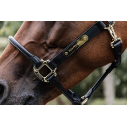 Anatomisch Lederen Halster Kentucky Anatomisch Lederen Halster Kentucky