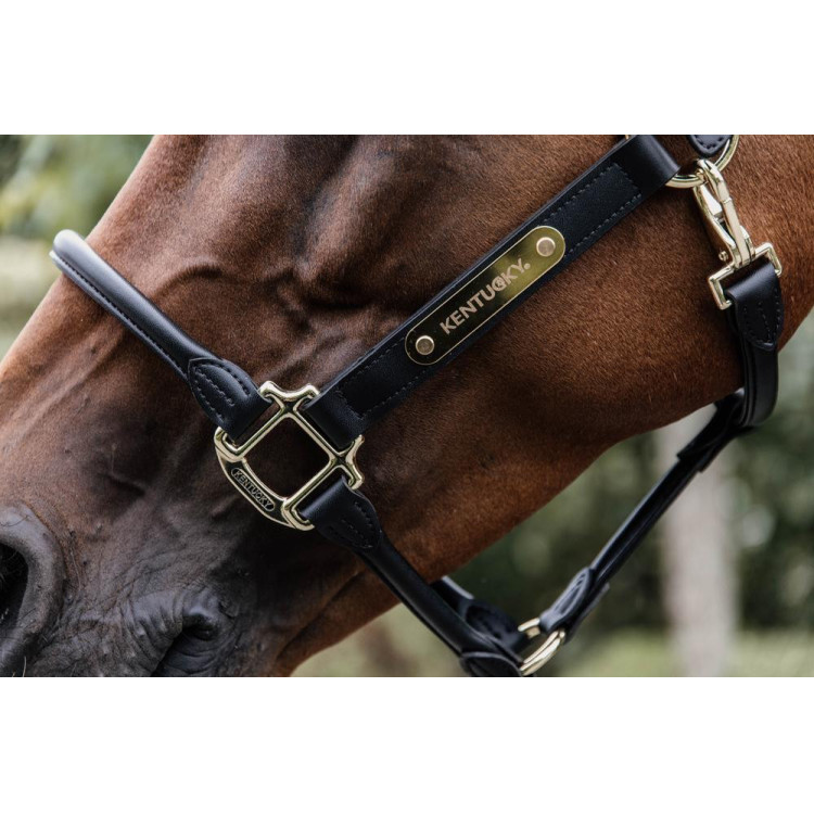 Anatomisch Lederen Halster Kentucky Anatomisch Lederen Halster Kentucky