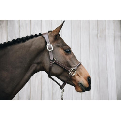 Anatomisch Lederen Halster Kentucky Bruin