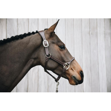 Anatomisch Lederen Halster Kentucky Bruin Anatomisch Lederen Halster Kentucky Bruin