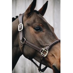 Anatomisch Lederen Halster Kentucky Bruin