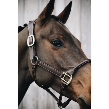 Anatomisch Lederen Halster Kentucky Bruin Anatomisch Lederen Halster Kentucky Bruin