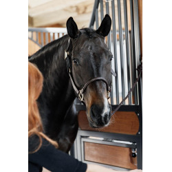 Anatomisch Lederen Halster Kentucky Bruin