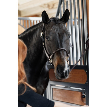 Anatomisch Lederen Halster Kentucky Bruin Anatomisch Lederen Halster Kentucky Bruin