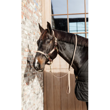 Gevlochten Nylon Halster Kentucky Gevlochten Nylon Halster Kentucky