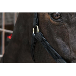 Gevlochten Nylon Halster Kentucky Zwart