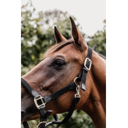 Gevlochten Nylon Halster Kentucky Zwart