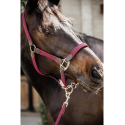 Gevlochten Nylon Halster Kentucky