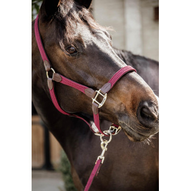 Gevlochten Nylon Halster Kentucky