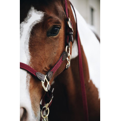 Licol Plaited Nylon Kentucky Bordeaux Licol Plaited Nylon Kentucky Bordeaux