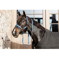 Licol Plaited Nylon Kentucky Beige