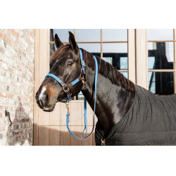 Gevlochten Nylon Halster Kentucky Lichtblauw Gevlochten Nylon Halster Kentucky Lichtblauw