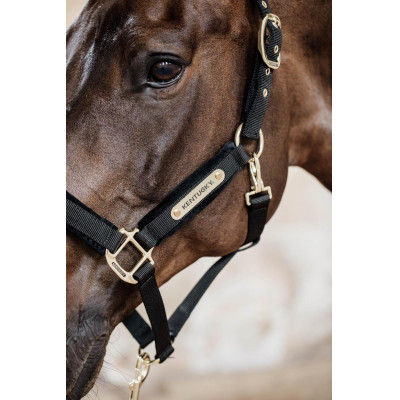 Velvet Halster Kentucky Zwart