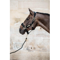 Velvet Halster Kentucky Zwart Velvet Halster Kentucky Zwart