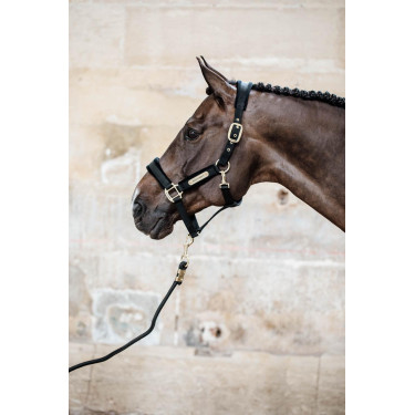 Velvet Halster Kentucky Velvet Halster Kentucky