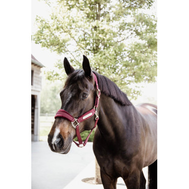 Velvet Halster Kentucky Velvet Halster Kentucky