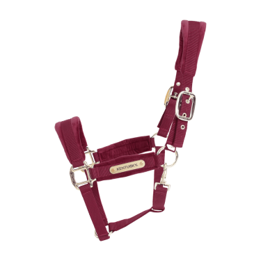 Velvet Halster Kentucky Velvet Halster Kentucky