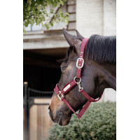 Velvet Halster Kentucky Zwart Velvet Halster Kentucky Zwart